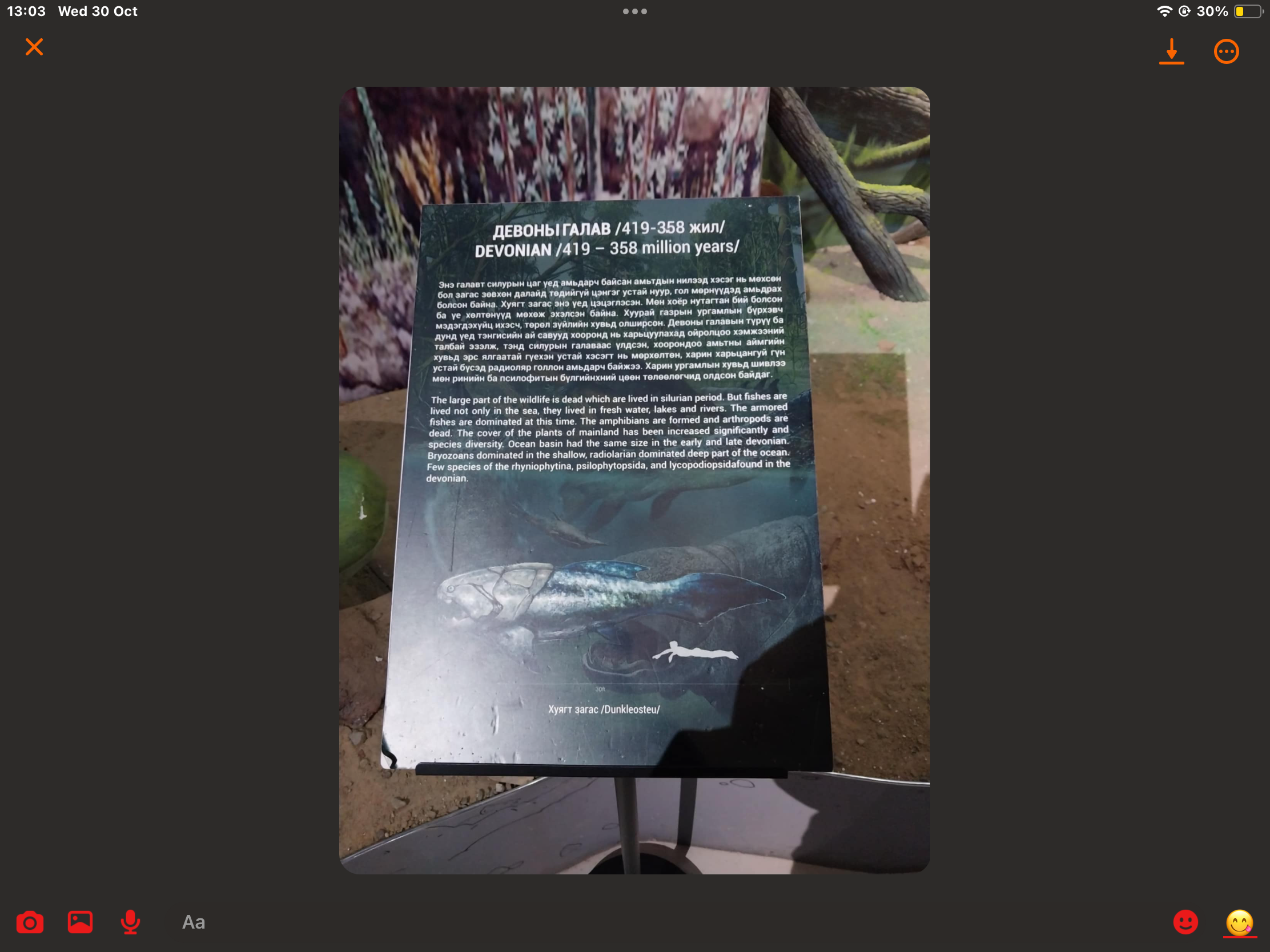 IMG_4477.png